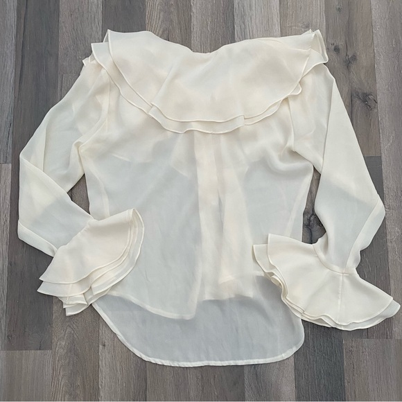 Vintage sheer blouse with ruffles and buttons down the front - Picture 6 of 6